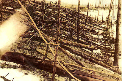 1908년 6월 30일 시베리아 퉁구스카에 소행성이 충돌하고 난 뒤 쓰러진 나무들의 모습. 사진=위키피디아
