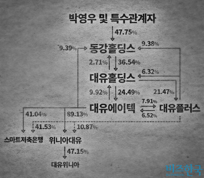 2017년 9월 말 기준 대유그룹 주요 계열사들의 지배구조 현황. 그래픽=이세윤 PD