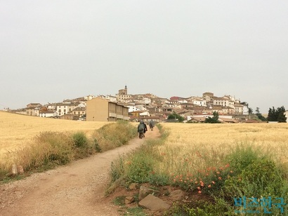 밀밭 사이로 그림처럼 걸려 있는 마을, 시라우키. 마치 동화 속으로 들어가는 기분이다. 사진=박현광 기자