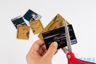 정부는 12월에 신용카드 수수료 개편방안을 최종 확정한다. 사진=비즈한국DB