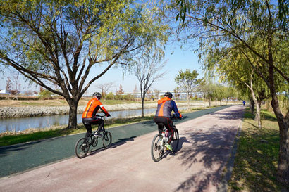 삼락생태공원에서는 자전거를 이용하는 것이 편리하다. 공원을 가로지르는 자전거 도로뿐 아니라 거미줄처럼 연결된 작은 길들도 자전거로 다니기에 무리가 없다. 사진=구완회 제공