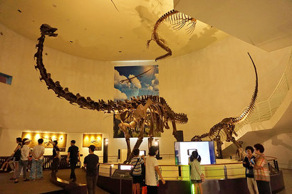 국립해양유물전시관 길 건너편에 자리한 목포자연사박물관에선 아이들이 좋아하는 공룡에서 매머드까지 거대한 자연의 역사를 볼 수 있다. 사진=구완회 제공