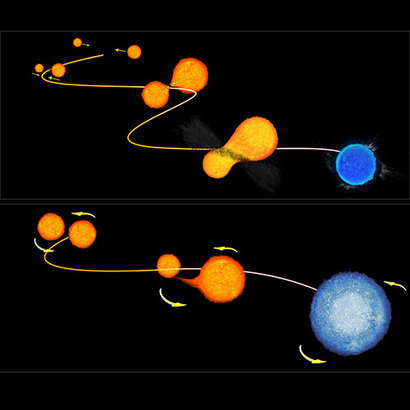 청색 낙오성의 형성 과정을 설명하는 대표적인 두 가지 시나리오. 두 개의 질량이 가벼운 별이 직접 충돌하면서 덩치 큰 청색 낙오성으로 진화하는 충돌 시나리오(위쪽)와 하나의 별이 다른 별에게서 물질을 빨아들이며 연료를 보충해 성장하는 뱀파이어 시나리오(아래쪽)이 표현되어 있다. 이미지=NASA/ESA