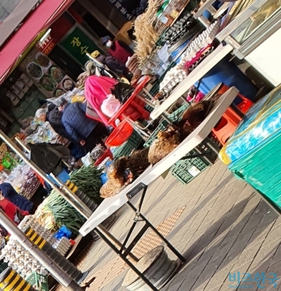 29일 오일장이 선 경기 성남시 모란시장에서는 강아지, 닭, 토끼, 꿩 등 여러 종류의 동물이 판매되고 있었다. 사진=차형조 기자