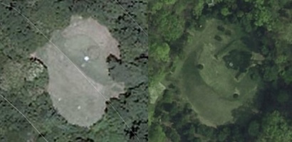 2008년 선영 크기(왼쪽)보다 왼쪽 아래 부분이 확장된 것으로 보이는 선영(오른쪽). 사진=카카오맵 캡처(왼쪽), 네이버지도 캡처(오른쪽)