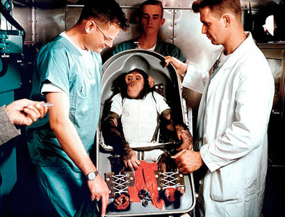 시험 비행을 앞두고 연구진들과 함께 훈련을 받고 있는 침팬지 햄. 당시 세 살이었다. 사진=NASA
