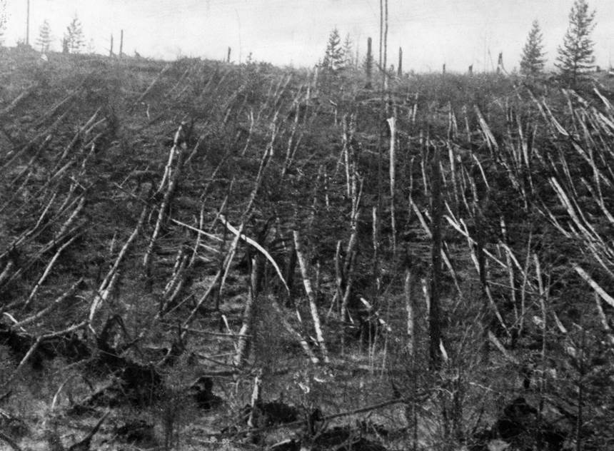 러시아 툰구스카강 인근에 떨어진 소행성 충돌의 여파로 완전히 누워버린 나무들. 사진=wikimedia commons