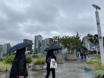 사과나무를 보고 멈춰서 사진을 찍는 시민들. 비가 와도 서울로를 방문하는 시민들은 꽤 있었다. 사진=전다현 기자