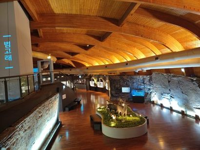고래 모양의 울산암각화박물관 내부 전시실에서는 실물 크기로 재현된 반구대 암각화와 함께 천전리 암각화도 상세히 살펴볼 수 있다. 사진=구완회 제공