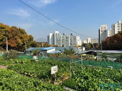 ‘서울한옥4.0’ 재창조 계획에 따라 서울 지역 6개 구역에서 한옥마을 조성사업이 추진되고 있는 가운데 첫 철회지가 나왔다. 주말 농장, 중장비 차고지가 위치한 도봉구 방학동 543-2 일대. 사진=강은경 기자
