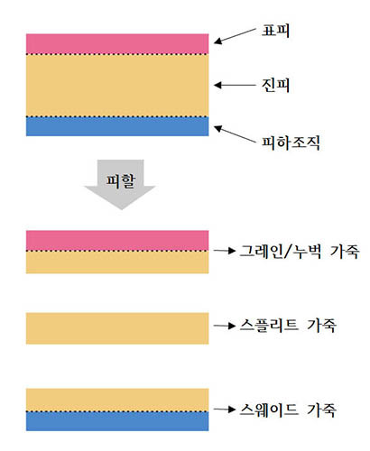 가죽은 어느 부위를 쓰느냐에 따라 그레인, 누벅, 스플리트, 스웨이드로 나뉜다.