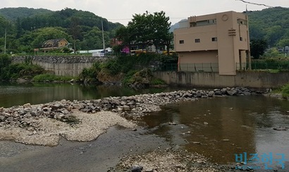 대명비발디파크가 홍천강물을 연간 200만 톤이나 사용하고 있다. 홍천강물을 원활하게 끌어쓰기 위해 강물이 하류로 흐르지 않게끔 자갈벽을 세웠다. 사진=비즈한국DB