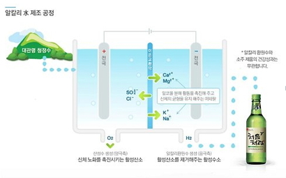 공정거래위원회로부터 2012년 4월 제재를 받을 당시 롯데주류 인터넷 홈페이지 화면. 그림 왼쪽 상단을 보면 ‘대관령 청정수’라는 문구가 선명하다.