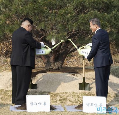 문재인 대통령과 김정은 북한 국무위위원장이 27일 오후 경기도 파주 판문점 내에 남북의 화합을 상징하는 소나무를 심은 뒤 한강과 대동강 물을 서로 바꿔 뿌리고 있다. 사진=한국공동사진기자단