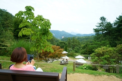 영국식가든, 이탈리안가든, 코티지가든, 야생화가든을 비롯해 전망쉼터와 이끼폭포, 숲속 오솔길, 스카이가든 등 29개의 다양한 정원을 만날 수 있는 제이드가든. 사진=이정석 여행작가 제공