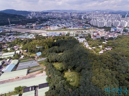 현대가 선영. 뒤로는 산이 버티고 있고, 앞으로는 물이 흐르는 배산임수 지형으로 풍수지리학에서 명당으로 꼽힌다. 선영 앞쪽으로 멀리 한강이 흐른다. 사진=최준필 기자