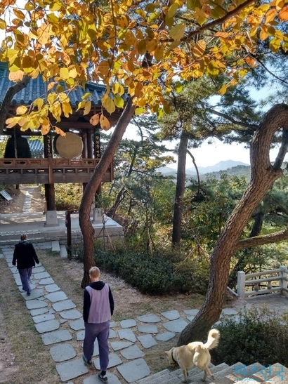 11월 5일부터 30일까지는 외국인 템플스테이 주간으로 올 8월에 유네스코 세계문화유산으로 새롭게 지정된 7곳의 사찰 등을 더해 총 39곳의 사찰에서 진행한다. 사진=이송이 기자