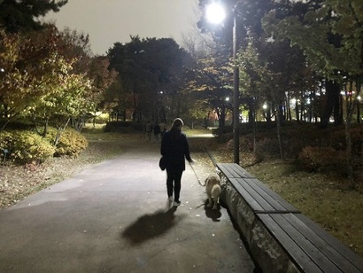 도그워커는 산책 중 반려견이 변을 보거나 특이 행동을 할 때마다 꼼꼼히 기록해 견주에게 전달한다. 사진=박해나 기자