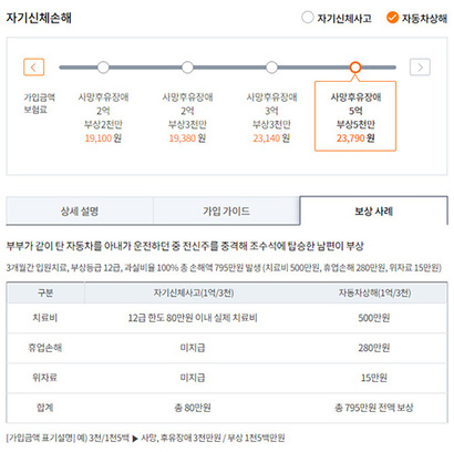 ‘자기신체사고’ ‘자동차상해’​를 설명하는 한 보험사 사이트 내용. 위에 표시된 금액은 ‘자동차상해’​​ 가격이다.