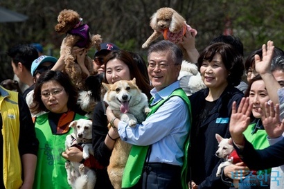 문재인 대통령은 ‘동물병원 자율적 표준진료제’를 선거 공약으로 내세웠다. 사진은 문 대통령이 대선후보 시절 서울 마포구 월드컵공원 내 반려견 놀이터를 찾은 모습. 사진=고성준 기자