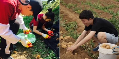 우퍼들이 농촌 일을 도와주고 있는 모습. 사진=우프코리아 제공