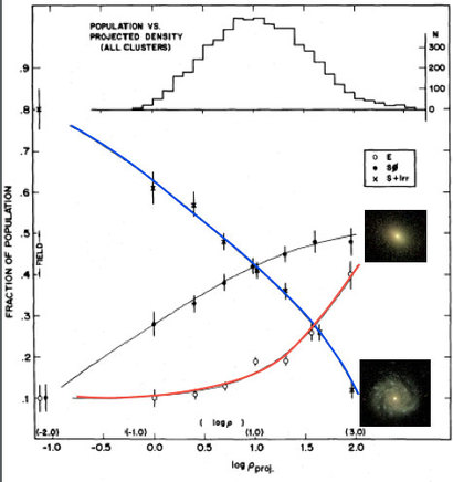 그래프의 가로축은 은하단 환경에서의 은하 밀도를, 세로축은 은하들의 분포 수를 나타낸다. 붉은 선은 타원 은하의 분포, 파란 선은 나선 은하의 분포를 의미한다. 은하단 중심부로 가면서 은하 밀도가 올라가면 타원 은하의 빈도가 확연히 증가한다. 반대로 은하 밀도가 적은 은하단 외곽으로 나가면 나선 은하의 빈도가 증가하는 것을 확인할 수 있다. 출처=http://adsabs.harvard.edu/abs/1980ApJ...236..351D