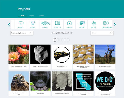 갤럭시 주 프로젝트를 확장해 주니버스 프로젝트 홈페이지 화면. 다양한 시민 과학자들의 도움을 받아 진행하고 있다. 들어가서 다양한 연구 프로젝트에 직접 참여해보자.