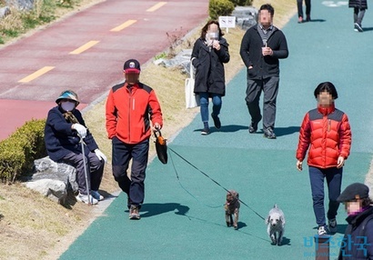 최근 반려인들 사이에서 사료가 아닌 일반식으로 반려동물의 건강관리를 하는 바람이 불고 있다. 시민들이 반려동물과 산책하는 모습으로 기사의 특정 내용과 관련없다. 사진=최준필 기자