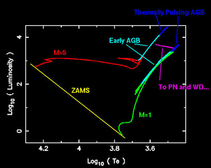 HR도 상에서 별이 진화하는 경로를 나타낸 그림. 처음으로 별로 데뷔하면 영년 주계열(ZAMS, Zero Age Main Sequence)에서 진화를 시작한다. 이후 질량이 태양 정도로 가벼운(M=1) 어두운 별들은 영년 주계열 아래쪽에서 출발해 녹색 경로를 따라 거성으로 진화하며, 더 질량이 무거운(M=5) 밝은 별들은 영년 주계열의 위쪽에서 출발해 빨간색 경로를 따라 거성으로 향한다. 거성으로 접근해가는 하늘색 단계를 점근 거성열, AGB라고 부른다. 점근 거성열 단계가 거의 끝나갈 때 격렬한 열적 맥동을 겪게 된다. 이미지=ESA