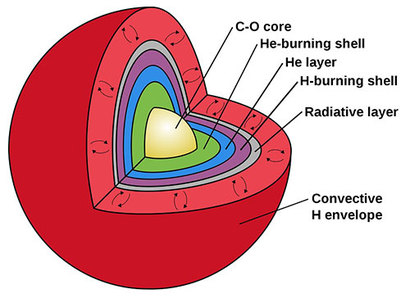 점근 거성열 AGB 별의 내부 구조를 나타낸 그림. 중심에 쌓여있는 탄소와 산소 찌꺼기 핵을 중심으로, 그 주변을 에워싼 수소와 헬륨 층에서 핵융합 반응이 일어난다. 가장 외곽은 수소 대류층이 형성되어 있다. 이미지=NOAO