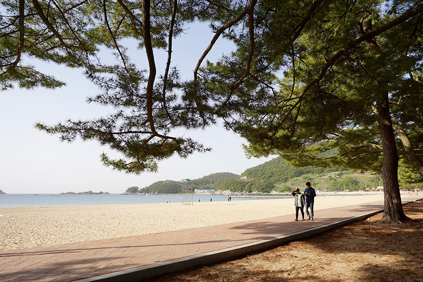 은빛 모래가 반짝이는 상주은모래비치는 남해를 대표하는 해변. 초승달 모양의 백사장 뒤로 아름드리 곰솔이 기다란 솔숲을 이룬다. 사진=구완회 제공