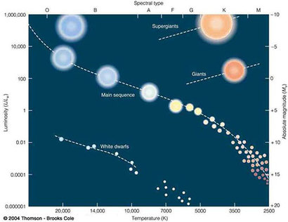 별들의 색깔과 밝기에 따라 분류한 HR도. 우선 모든 별들은 태양처럼 수소를 주된 연료로 삼아 핵융합을 시작하는 주계열성으로서 별의 삶을 시작한다. 이때 질량이 더 무거운 별들은 훨씬 더 뜨거운 온도로 밝게 빛날 수 있기 때문에, 주계열성 중에서 온도가 높고 밝기가 밝은 영역(위 HR도 상에서 왼쪽 위)에 놓인다. 반면 질량이 가볍게 태어난 별들은 주계열성 중에서 온도가 낮고 밝기가 어두운(위 HR도 상에서 오른쪽 아래)에 놓인다. 이미지=Thomson-Brooks Cole