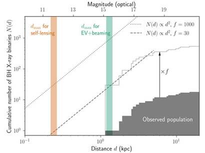 실제 관측된 쌍성 블랙홀들의 개수와 앞으로 TESS가 활약한다면 발견될 것으로 추정되는 새로운 블랙홀들의 개수를 비교한 그래프. 그래프의 가로축은 쌍성을 이루는 블랙홀과 동반성 사이 거리를 나타내며, 세로축은 쌍성계가 발견된 개수를 의미한다. 지금까지 1kpc 거리 이내의 쌍성은 거의 발견되지 않았다. 주황색과 녹색 선은 셀프-렌징 효과와 타원체 변광 효과를 각각 활용했을 때, 블랙홀과 동반성이 얼마나 가까운 쌍성계까지 발견할 수 있는지를 나타낸다. 이미지=Kento Masuda and Kenta Hotokezaka