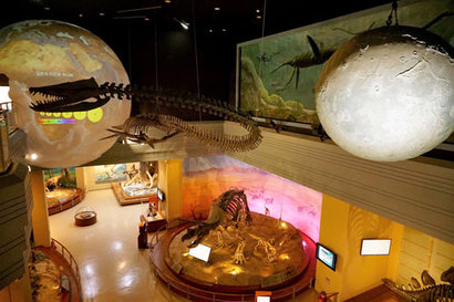 서대문자연사박물관 생명진화관에는 각종 화석이 가득하다. 사진=구완회 제공