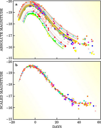 초신성이 최대 밝기에 이르고 나서 다시 어두워지는 경향을 나타내는 광도 곡선(Light curve)를 비교한 모습. 전반적으로 초신성은 같은 종류마다 같은 경향의 광도 곡선을 그리는 것으로 알려져 있다. 이 성질을 활용해 천문학자들은 각 초신성의 겉보기 밝기 곡선을 맞춰서 실제 밝기와 거리를 알아낸다.