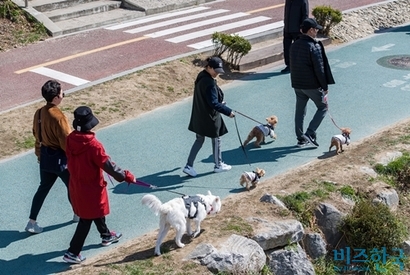 공정거래위원회가 반려동물 시장의 독과점 감시를 강화하겠다는 방침을 세우면서 국내 동물의약품 시장이 활성화될 수 있을지 관심이 쏠린다. 사진=최준필 기자