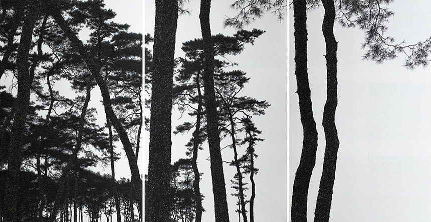 Pine Grove: 345×180cm 비단에 수묵 2019