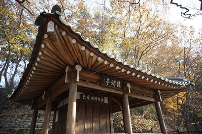 조선 순조 때 선비 최영택은 부친상을 당하자 3년 동안 강 건너 산에 있는 묘소에 하루 세 번씩 거르지 않고 성묘를 했다. ​​이런 아버지를 안타깝게 여긴 아들 최규문이 그 자리에 비바람을 피할 수 있는 정자를 지은 것이 용호정원림의 시작이다. 사진=구완회 제공