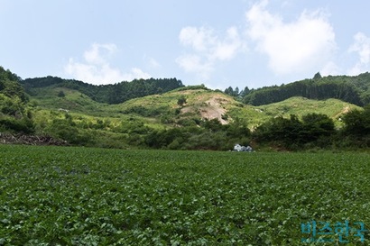 지난 9일 최서원 씨가 딸 정유라 씨와 공동으로 보유하던 강원도 평창군 용평면 도사리 소재 목장 부지를 매각했다.  사진=최준필 기자