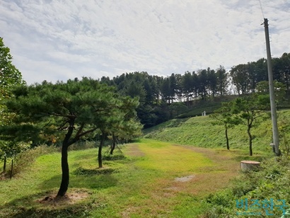 선영으로 가는 길에 조성된 잔디와 계단 등으로 모두 불법 공작물이다. 사진=정동민 기자