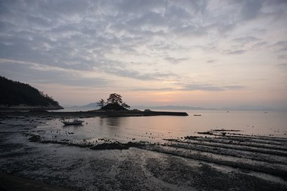 소등섬은 하루에 두 번, 바다가 갈라지는 모세의 기적이 일어난다. 썰물 때는 소등섬으로 이어지는 바닷길이 드러나 5분만 걸으면 섬에 닿을 수 있다. 사진=구완회 제공