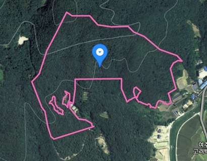 2005년 삼양사가 매입한 임야로 삼양그룹 오너 일가가 매입한 토지들 바로 위에 위치한다. 사진=카카오맵 캡처