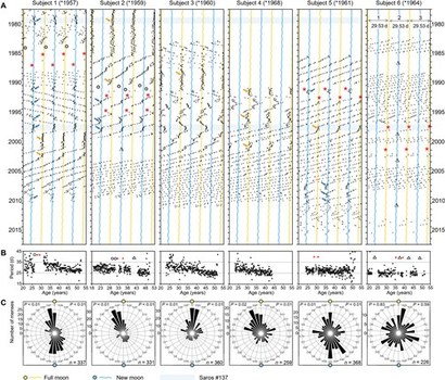 조사 대상 여성들의 매달 생리 날짜를 초승달/보름달이 뜨는 날짜에 맞춰 비교한 그래프. 가장 아래 한 달 동안 매일 생리가 찾아온 빈도를 누적해서 그린 원형 그래프를 보면 보름달이 뜨는 날(노란점)과 초승달이 뜨는 날(파란점)에 가장 높은 빈도로 몰려서 발생하고 있는 것을 볼 수 있다. 한편 나이가 들면서 서서히 생리 주기가 짧아지는 것도 확인할 수 있다.