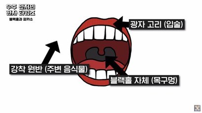 우리가 실제로 보고 싶은 블랙홀이 게걸스러운 식사를 하고 있는 괴물의 깊은 목구멍에 해당한다면, 블랙홀 주변으로 빨려들어가는 물질이 맴도는 강착 원반은 그 괴물의 입 주변에 묻은 밥풀과 소스 흔적이라고 볼 수 있고, 그보다 더 블랙홀에 가까운 광자 고리는 괴물의 입술이라고 볼 수 있다. 우리는 무슨 수를 써도 괴물의 목구멍 속을 들여다볼 수는 없지만, 폭풍 먹방을 찍고 있는 괴물의 지저분한 입 주변과 입술까지는 포착하는 데 성공한 셈이다. 어쩌면 이 블랙홀의 초상화는 블랙홀 괴물이 남긴 입술 자국, 강렬한 키스 마크라고 볼 수 있겠다. 그래서 중심이 뻥 뚫린 채 밝게 빛나는 고리의 형태, 도넛의 모양으로 초상화를 그린 것이다. 이미지=지웅배 제공