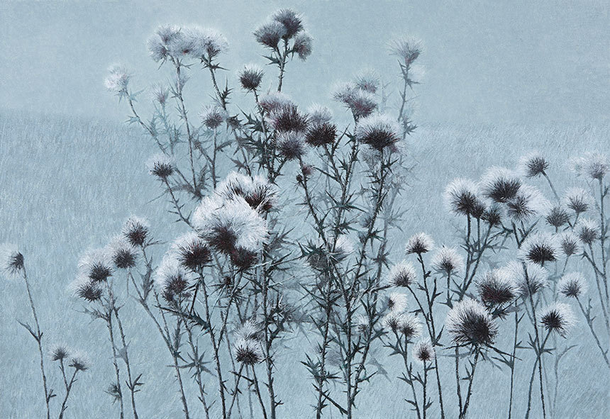 Thistle-소멸: 162.2×130.3cm Oil on canvas 2014