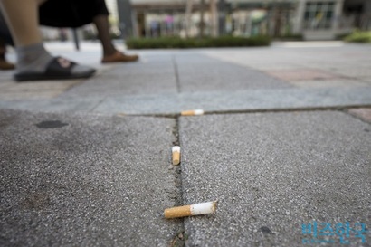 여성 흡연은 늘고 있지만 여성이 금연에 성공하는 것은 남성에 비해 힘들다. 사진은 길가에 버려진 담배꽁초로 기사 내용과 관련 없음. 사진=이종현 기자