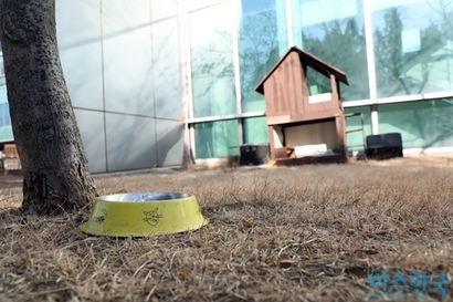국회 의원회관 주변에 설치된 길고양이 급식소. 사진=박은숙 기자