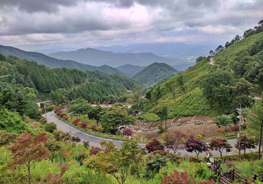 오도재에서 내려다본 풍경. 지리산 천왕봉을 비롯한 고산준령을 조망할 수 있다. 사진=구완회 제공