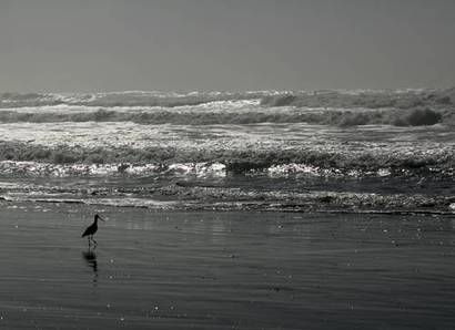 갈릴레이는 바닷가에서 볼 수 있는 밀물과 썰물이 지구 공전의 증거라고 생각했다. 사진=wikimedia commons