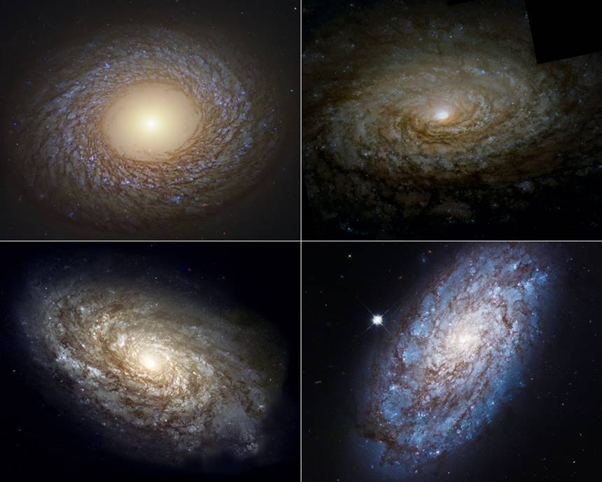 다양한 양털 같은 나선 은하들의 모습. 왼쪽 위부터 시계방향으로 게자리 방향의 NGC2775, 사냥개자리 방향의 M63(해바라기 은하), 머리털자리 방향의 NGC4298과 4414. 사진=NASA